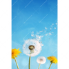 Xxl Wandbild Pusteblume No 2 Hochformat Motivvorschau