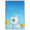 Xxl Wandbild Pusteblume No 2 Hochformat Produktvorschau Frontal