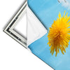 Xxl Wandbild Pusteblume No 2 Panorama Materialvorschau