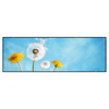 Xxl Wandbild Pusteblume No 2 Panorama Produktvorschau Frontal