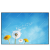 Xxl Wandbild Pusteblume No 2 Querformat Produktvorschau Frontal