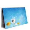 Xxl Wandbild Pusteblume No 2 Querformat Produktvorschau Seitlich