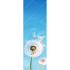 Xxl Wandbild Pusteblume No 2 Schmal Motivvorschau