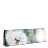 Xxl Wandbild Pusteblume No 3 Panorama Produktvorschau Seitlich