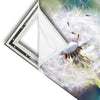 Xxl Wandbild Pusteblume No 3 Quadrat Materialvorschau