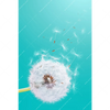 Xxl Wandbild Pusteblume No 4 Hochformat Motivvorschau