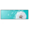 Xxl Wandbild Pusteblume No 4 Panorama Produktvorschau Frontal