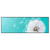 Xxl Wandbild Pusteblume No 4 Panorama Produktvorschau Frontal
