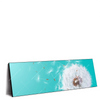 Xxl Wandbild Pusteblume No 4 Panorama Produktvorschau Seitlich