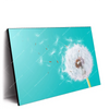 Xxl Wandbild Pusteblume No 4 Querformat Produktvorschau Seitlich