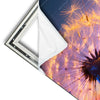 Xxl Wandbild Pusteblume No 5 Hochformat Materialvorschau