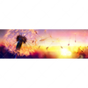 Xxl Wandbild Pusteblume No 5 Panorama Motivvorschau