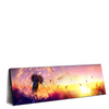 Xxl Wandbild Pusteblume No 5 Panorama Produktvorschau Seitlich
