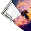 Xxl Wandbild Pusteblume No 5 Quadrat Materialvorschau