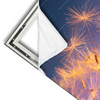 Xxl Wandbild Pusteblume No 5 Schmal Materialvorschau