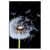 Xxl Wandbild Pusteblume No 6 Hochformat Produktvorschau Frontal