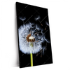 Xxl Wandbild Pusteblume No 6 Hochformat Produktvorschau Seitlich