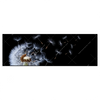 Xxl Wandbild Pusteblume No 6 Panorama Produktvorschau Frontal