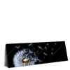 Xxl Wandbild Pusteblume No 6 Panorama Produktvorschau Seitlich