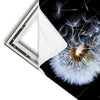 Xxl Wandbild Pusteblume No 6 Quadrat Materialvorschau