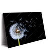 Xxl Wandbild Pusteblume No 6 Querformat Produktvorschau Seitlich