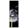 Xxl Wandbild Pusteblume No 6 Schmal Produktvorschau Frontal
