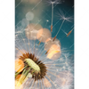 Xxl Wandbild Pusteblume No 7 Hochformat Motivvorschau