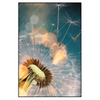 Xxl Wandbild Pusteblume No 7 Hochformat Produktvorschau Frontal