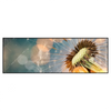 Xxl Wandbild Pusteblume No 7 Panorama Produktvorschau Frontal