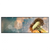 Xxl Wandbild Pusteblume No 7 Panorama Produktvorschau Frontal