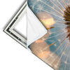 Xxl Wandbild Pusteblume No 7 Quadrat Materialvorschau