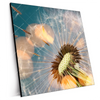 Xxl Wandbild Pusteblume No 7 Quadrat Produktvorschau Seitlich