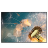 Xxl Wandbild Pusteblume No 7 Querformat Produktvorschau Frontal