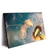Xxl Wandbild Pusteblume No 7 Querformat Produktvorschau Seitlich