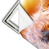 Xxl Wandbild Pusteblume No 8 Hochformat Materialvorschau