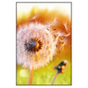 Xxl Wandbild Pusteblume No 8 Hochformat Produktvorschau Frontal