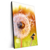 Xxl Wandbild Pusteblume No 8 Hochformat Produktvorschau Seitlich
