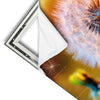 Xxl Wandbild Pusteblume No 8 Panorama Materialvorschau