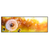 Xxl Wandbild Pusteblume No 8 Panorama Produktvorschau Frontal