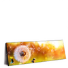 Xxl Wandbild Pusteblume No 8 Panorama Produktvorschau Seitlich