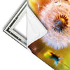 Xxl Wandbild Pusteblume No 8 Quadrat Materialvorschau