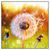 Xxl Wandbild Pusteblume No 8 Quadrat Produktvorschau Frontal