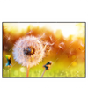 Xxl Wandbild Pusteblume No 8 Querformat Produktvorschau Frontal