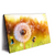 Xxl Wandbild Pusteblume No 8 Querformat Produktvorschau Seitlich