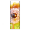 Xxl Wandbild Pusteblume No 8 Schmal Produktvorschau Frontal