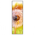 Xxl Wandbild Pusteblume No 8 Schmal Produktvorschau Frontal