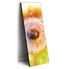 Xxl Wandbild Pusteblume No 8 Schmal Produktvorschau Seitlich
