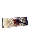 Xxl Wandbild Pusteblume Panorama Produktvorschau Seitlich