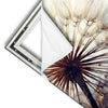 Xxl Wandbild Pusteblume Quadrat Materialvorschau