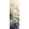 Xxl Wandbild Pusteblume Schmal Motivvorschau